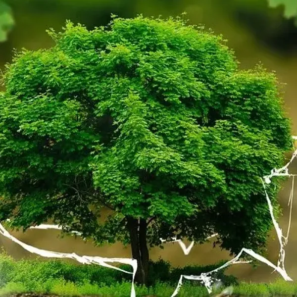 A tree growing inside a cracked glass globe.